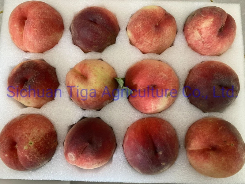 Hot-Sale-Delicious-Fresh-Sweet-Donut-Peach-Summer-Fruit (1)