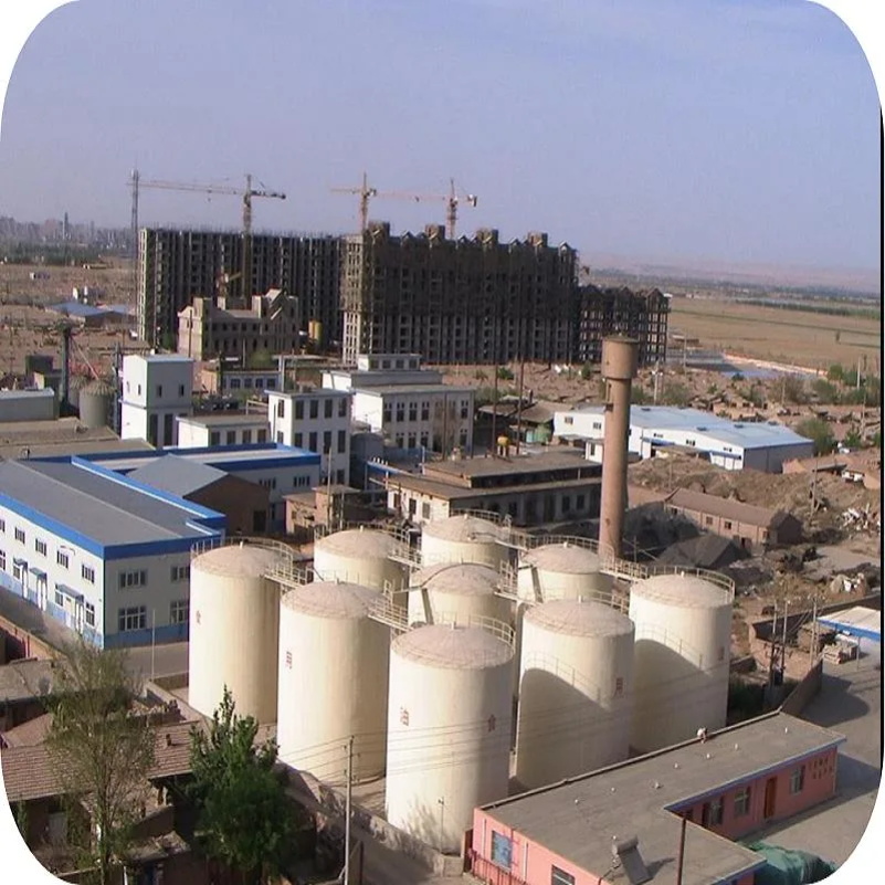 Presse &agrave; huile avanc&eacute;e de haute qualit&eacute; et stable (6)