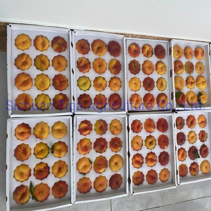 Biologique-Nouveau-Saveur-Sain-Frais-Doux-&Eacute;t&eacute;-Joicy-P&ecirc;che (1)