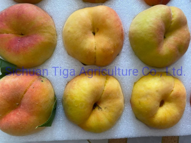 Hot-Sale-Delicious-Fresh-Sweet-Donut-Peach-Summer-Fruit